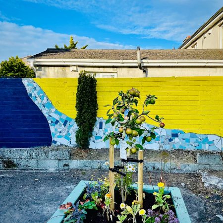 Greening the Laneways promotional image of a wall painted a bright blue and yellow. There is a small apple tree in the foreground.