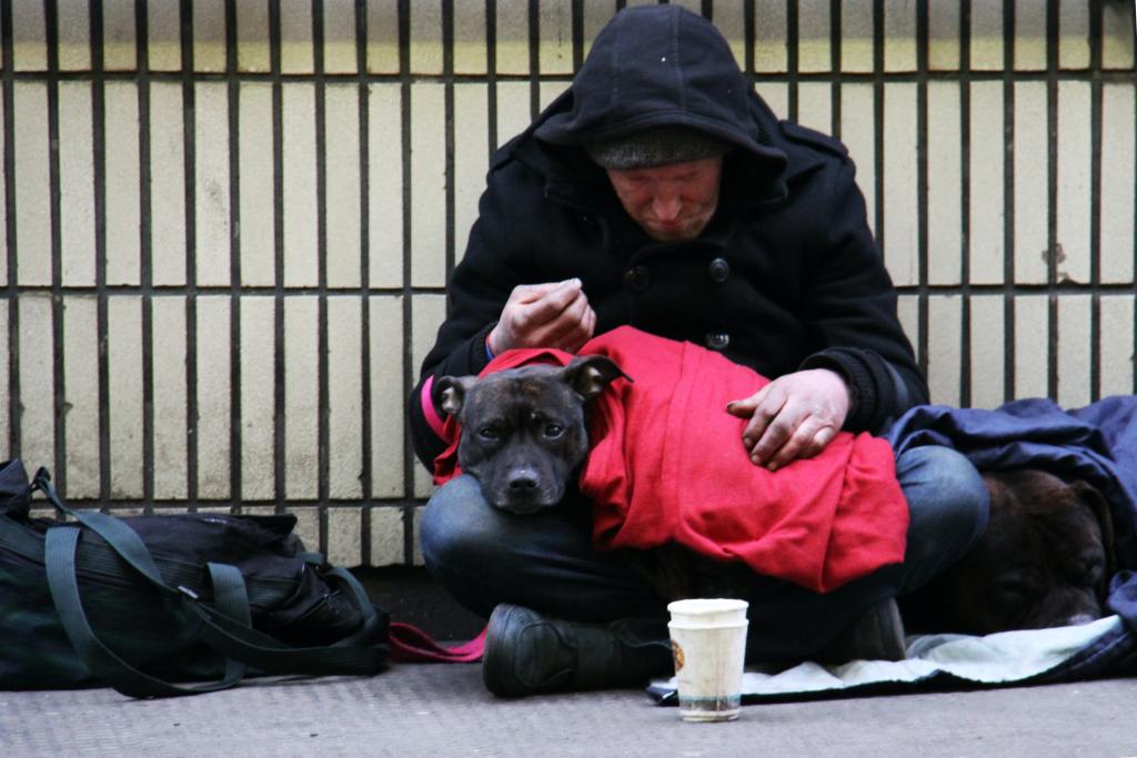 Homeless Man with a dog