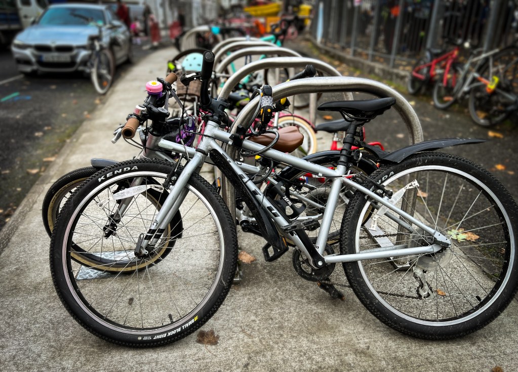 A row of bicycles, one behind the other, locked to bicycle racks