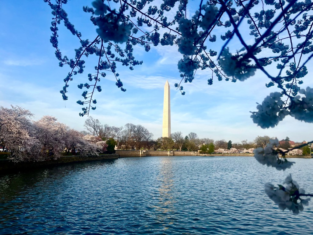 The Washington Monument