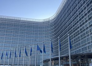 European Commission, EUvsDisinfo, Brussels, EU