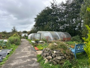 Greenhouses and garden in Ballybane Community Garden.
