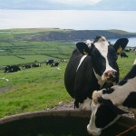 Budget 2027: What Farmers Need to Know
